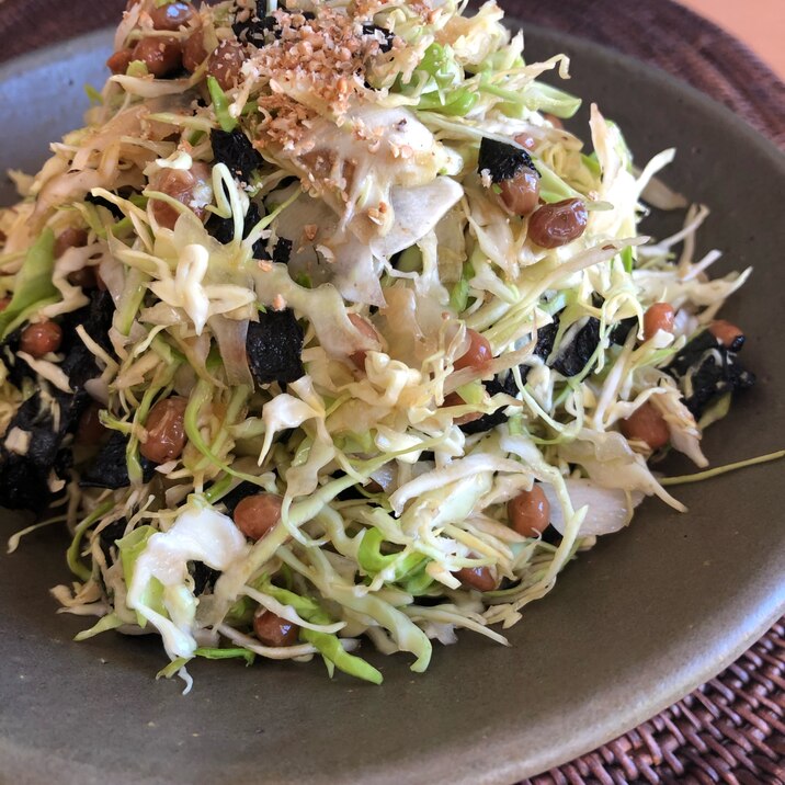 千切りキャベツのネバネバサラダ レシピ 作り方 By 彩陽 いろは 楽天レシピ